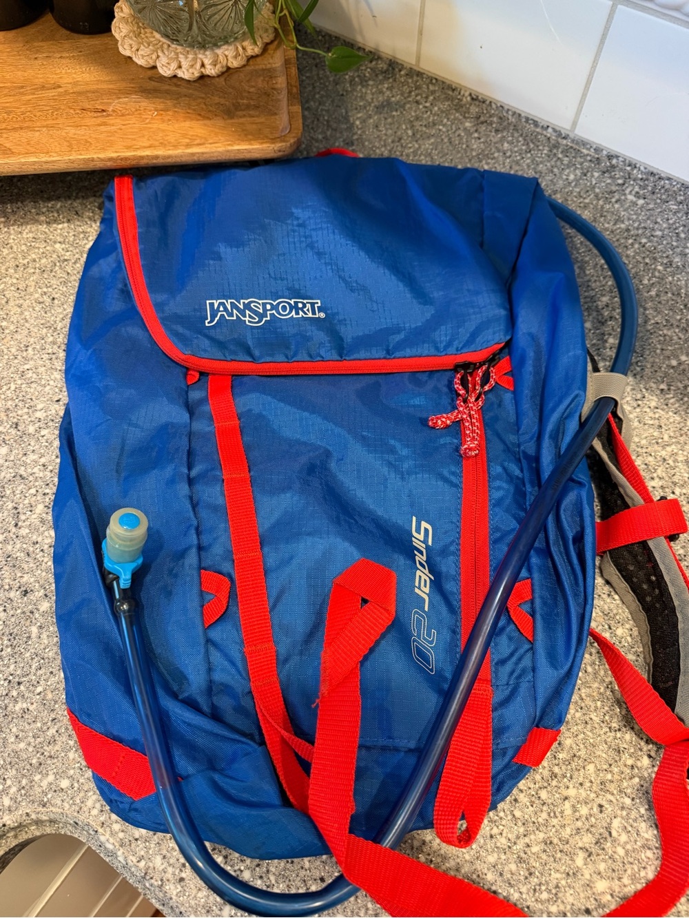 Jansport Blue Backpack with Red Accents and Hydration Bladder